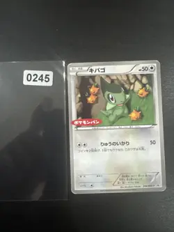 Pokemon Card Axew 206/Bw-P Promo Black & White Non Holo Rare Japanese L/P - Image 1