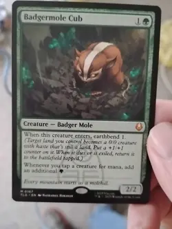 Badgermole Cub Avatar: The Last Airbender - Image 1
