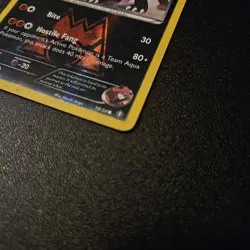 Pokemon Team Magma's Mightyena 19/34 XY Double Crisis 2015 Reverse Holo English - Image 4