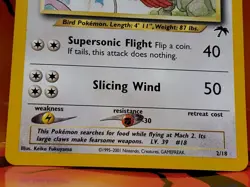 Pidgeot - 2/18 - Promo - Southern Islands Set Pokemon Card - EXC NM - Image 3