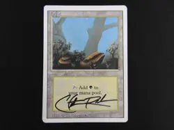 Forest (a) Signed MP [Revised Edition] --- Private Listing --- - Image 1