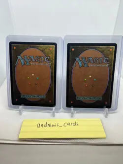 (x2) Magic the Gathering - Lorwyn Wanderwine Prophets 2007 095/301 Rare - Image 2