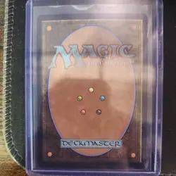 The Cabbage Merchant - MTG - ATLA Eternal-Legal - Extended Art-FOIL - Image 2