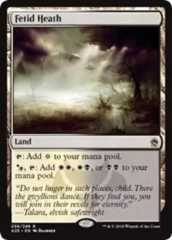 MTG Fetid Heath - Foil, Light Play, English Masters 25 - Image 1