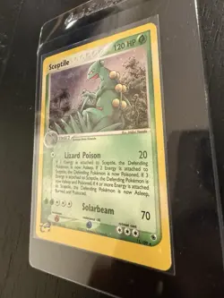 Pokemon TCG Sceptile EX Ruby and Sapphire Holo Rare Card 11/109 Near Mint - Image 2