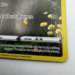 Pokemon TCG Turtwig GG31/GG70 Crown Zenith Galarian Gallery Full Art NM - Image 3