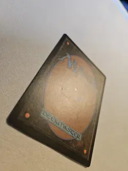 Enlightened Tutor - Mirage Regular - Mp - Image 4