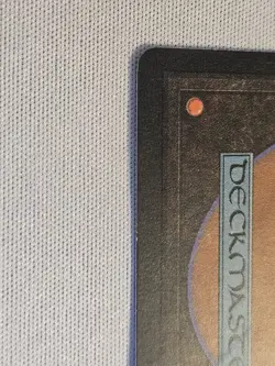 Enlightened Tutor - Mirage Regular - Mp - Image 5