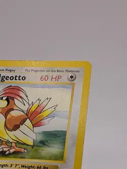 1999 Pokemon TCG Pidgeotto 22/102 SHADOWLESS Base Set WOTC Non-Holo Rare MP - Image 2
