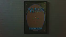 MTG Foil Singles - Llanowar Wastes - Magic 2015, Rare, 244/269 - Image 2