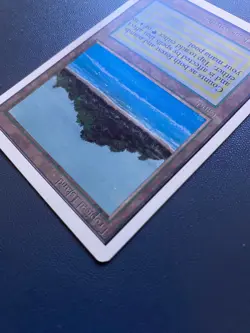 Tropical Island Unlimited Edition Regular MTG - Image 4