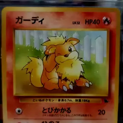 Growlith No.058 26 Intro Pack Squirtle Japanese Pokemon Card - Image 2