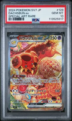 Dachsbun ex - PSA 10 - SAR Stellar Miracle SV7 129/102 Pokemon Card - Image 1