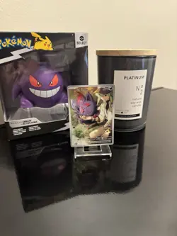 Pokemon N's Zorua - SV: Scarlet & Violet Promo Cards 189 Promo NM - Image 1