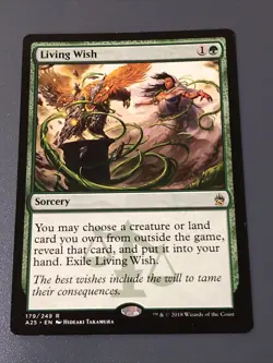 Living Wish X1 M25 Ex Condition See Pics Front/back - Image 1