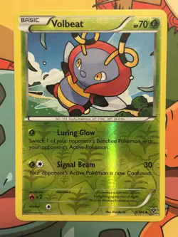 Volbeat 8/146 XY Reverse Holo Uncommon XY Pokemon TCG - Image 1