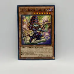 Toon Dark Magician LDS1-EN067 Common 1st Edition - Image 1