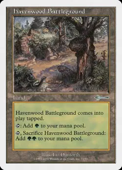4 Havenwood Battleground 4x x4 - LP - Beatdown Box - SPARROW MAGIC - mtg - - Image 1
