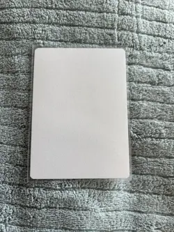 Magic the Gathering - Fierce Guardianship Borderless Randy Gallegos Artist Proof - Image 2