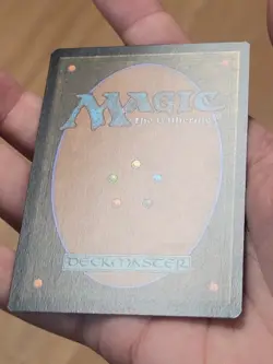 Baral, Chief of Compliance NM Free Shipping in Canada !! - Image 3