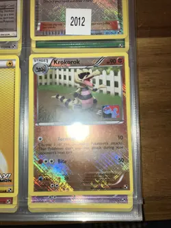 Pokemon League Pokemon Collector, Professor Juniper, Championship Cards Lot Of 8 - Image 4