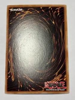 Yu-Gi-Oh - ELZETTE DE LA FORET BLANCHE - INFO-FR014 - Secret - NM/M J 2 - Image 3