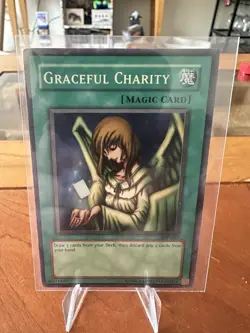 Graceful Charity SDP-040 - Unlimited - MP - Image 1