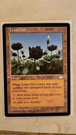 Magic The Gathering Lotus Vale Weatherlight - Image 1