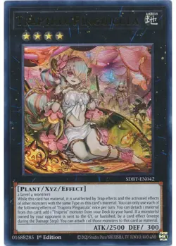 Yugioh - Traptrix Pinguicula (Ultra Rare) (1st Edition) - SDBT-EN042 P - Image 1