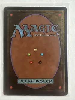 MTG - Savanna Lions - Revised Edition - English Magic - Image 2