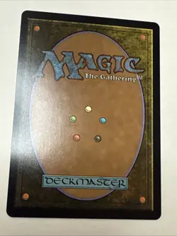 The Cabbage Merchant - 203 - MTG Avatar: The Last Airbender - Rare -Extended Art - Image 2