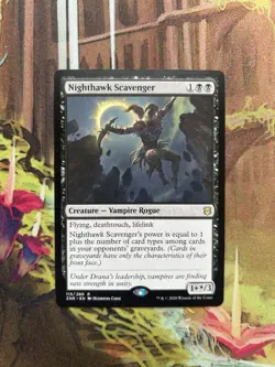 Nighthawk Scavenger NM, English MTG Zendikar Rising - Image 1