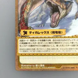Monster Hunter Trading card " Tigrex " 2-014/066 R 2007 Japan TCG - Image 4