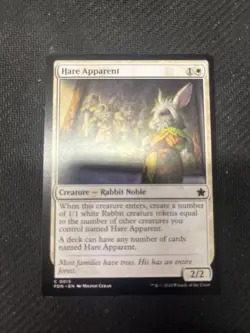 Hare Apparent Foundations Regular - Image 1