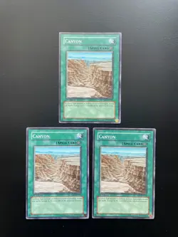 Yugioh Canyon SD7-EN016 Common 1st Edition MP/HP X3 - Image 1