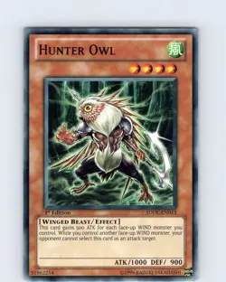 Yu-Gi-Oh TCG Hunter Owl SDDL-EN013 1st Edition Regular Common Card NM - Image 1