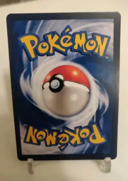 *Custom-made*High Quality, Blastoise & Piplup Tagteam,Textured "Display-Card" - Image 5