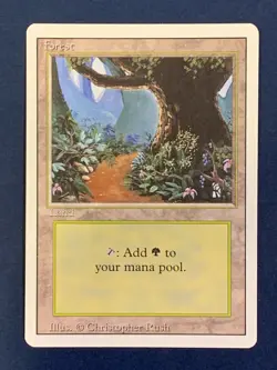 MTG Magic the Gathering Revised - Forest (B) Basic Land - NM - Image 1