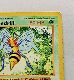 beedrill shadowless 17/102 base set 1999 Pokemon WOTC MP rare - Image 2