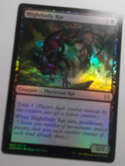 Blightbelly Rat x1 FOIL MTG All Will Be One Black Common Creature - Image 1
