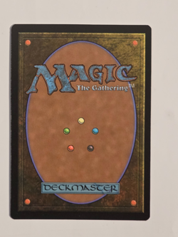 Sokka and Suki R0071 Foil (Borderless) Avatar: The Last Airbender MTG NM - Image 2