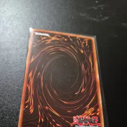 Yugioh! Harpie’s Pet Dragon RP02-EN093 Secret Rare Holo Bleed NM Reprint - Image 3
