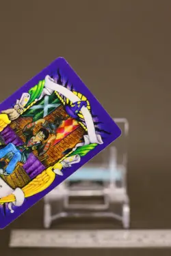 The Sorting Hat Harry Potter Chocolate Frog Card Japanese USJ Warner Bros b - Image 4