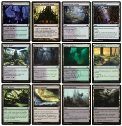 MTG: 12 x Different Black & Green Golgari Lands for COMMANDER deck building - LP - Image 1