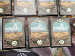 11x Plains • Unglued (84/94) • Mtg (1919) - Image 4