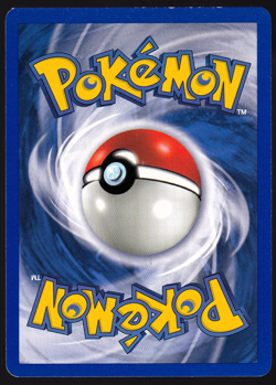 Bayleef 1st Edition 28/111 Neo Genesis Pokemon TCG Card LP - Image 2