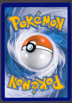 Pikachu VMAX SWSH286 Black Star Promo Holo Pokemon TCG Card 2023 NM - Image 2