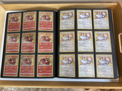 Pokemon TCG Lot Celebrations, XY Evolutions, Pack Fresh NM Cards - Image 4