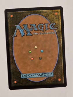 Guardian Project M2172 Regular Secret Lair Drop Magic the Gathering NM - Image 2