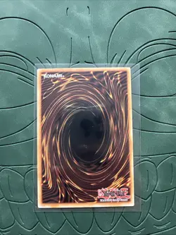 Dracotail Gulamel | Super Rare | JUSH-EN007 | Near mint | Yu-Gi-Oh! - Image 2
